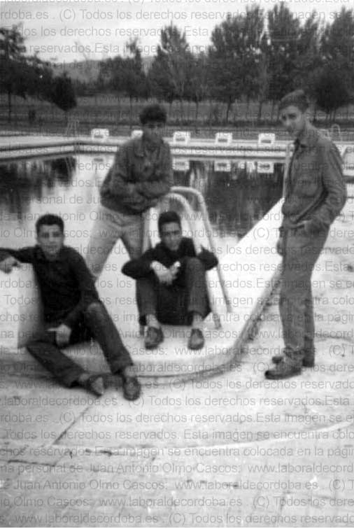 Imagen de la galería