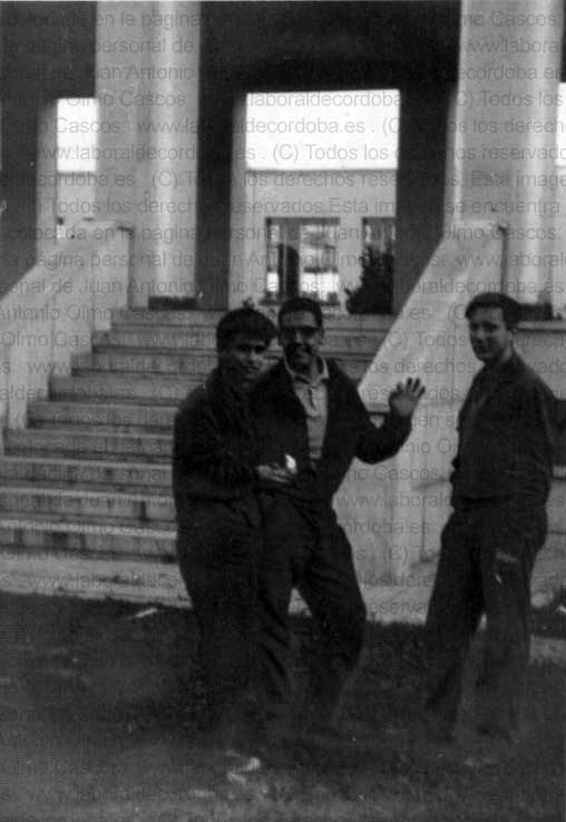 Imagen de la galería