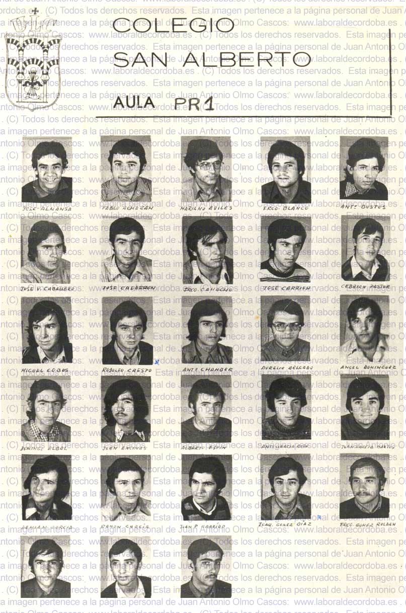 Imagen de la galería
