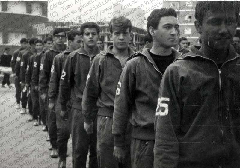 Imagen de la galería