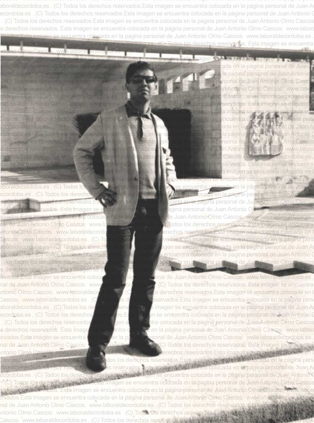 Imagen de la galería