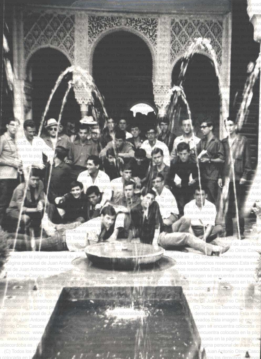 Imagen de la galería