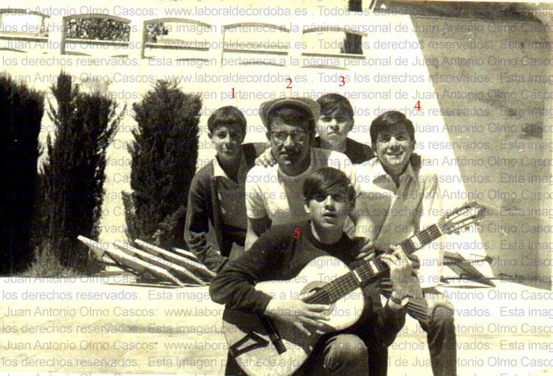 Imagen de la galería