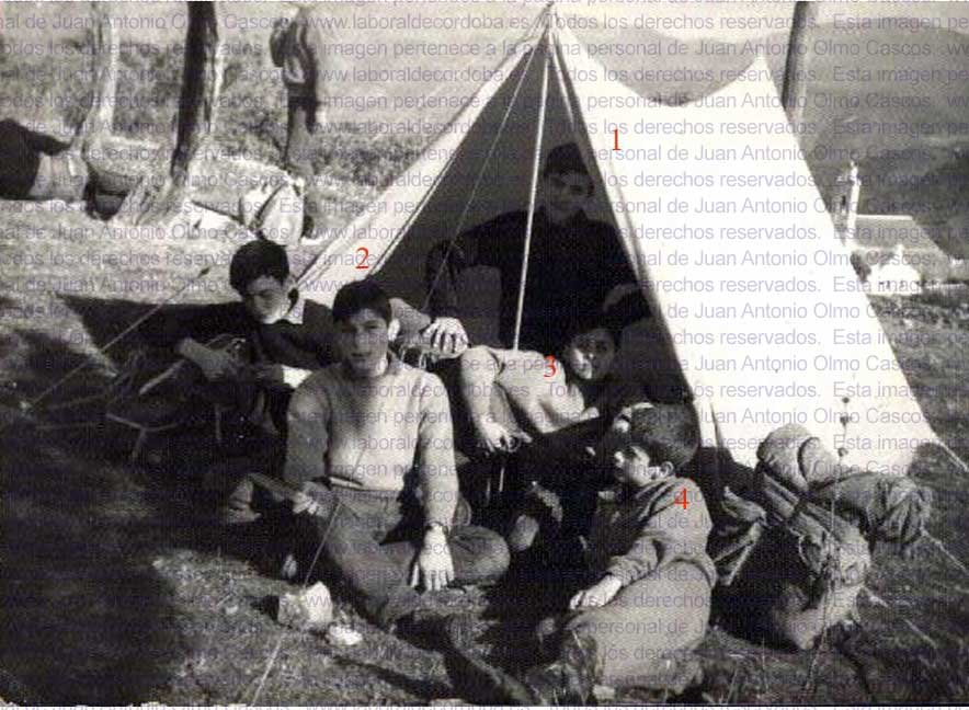 Imagen de la galería