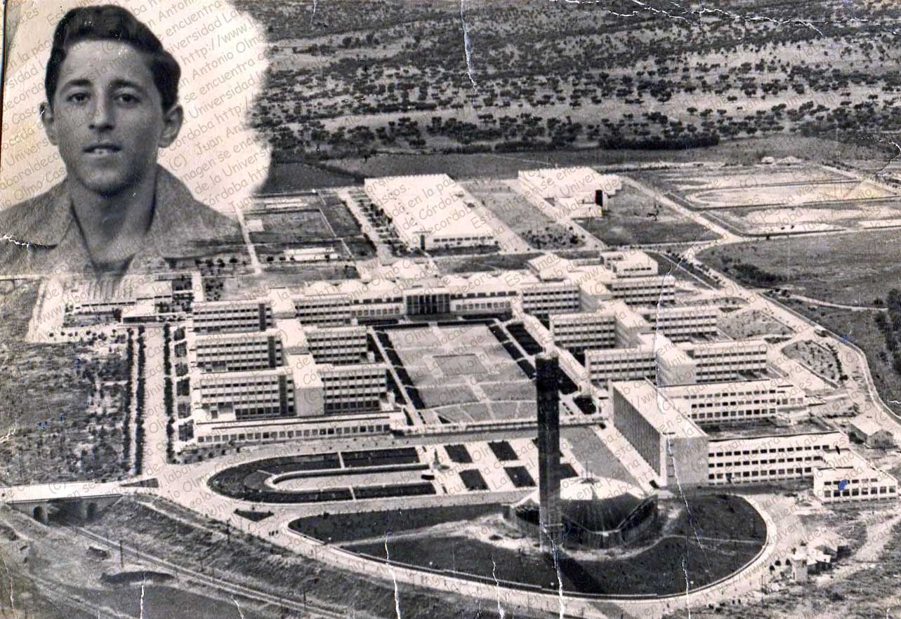 Imagen de la galería