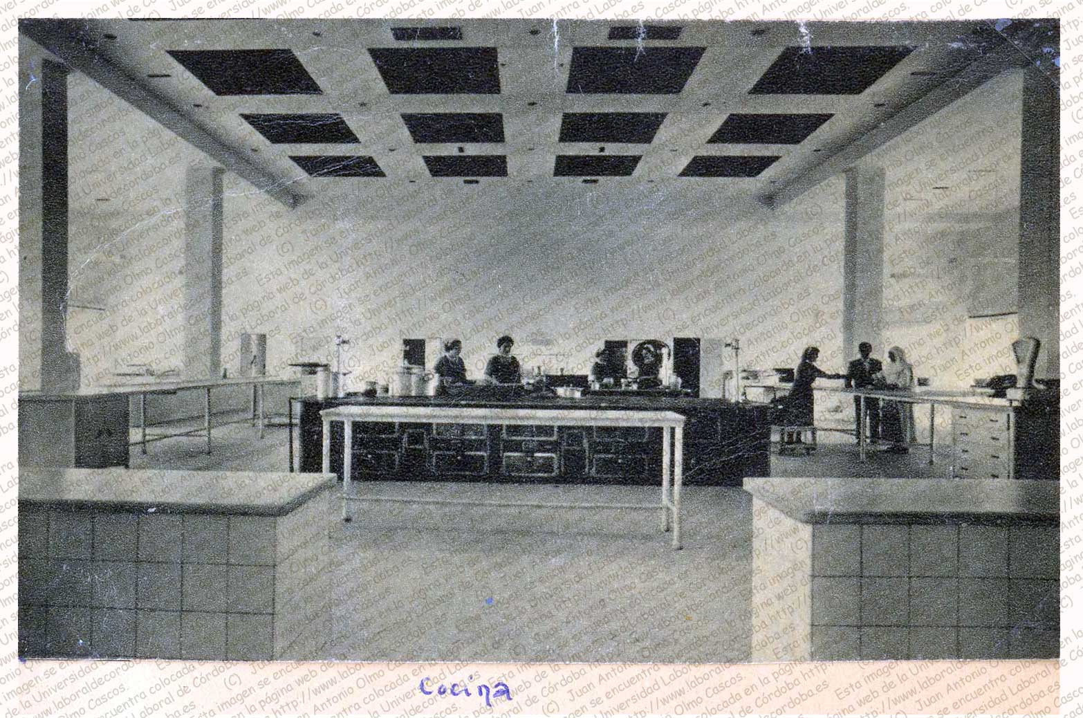 Imagen de la galería
