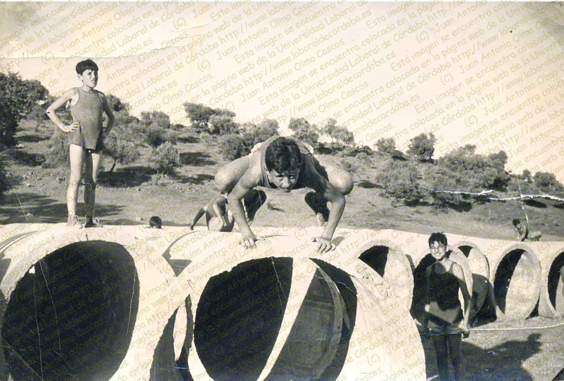 Imagen de la galería