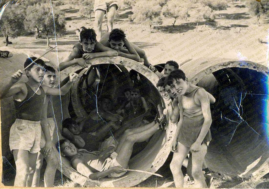 Imagen de la galería