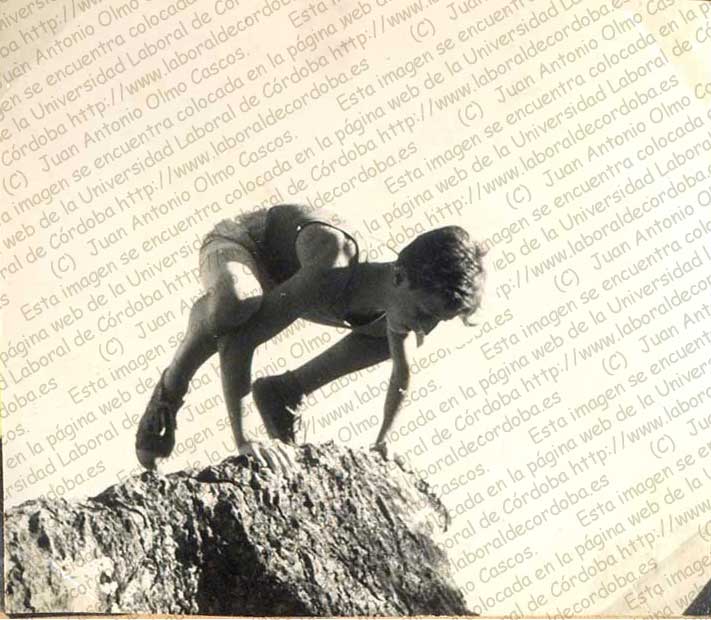 Imagen de la galería