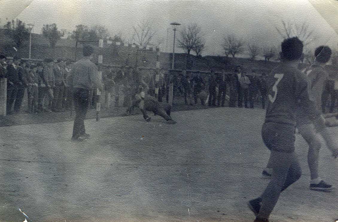 Imagen de la galería