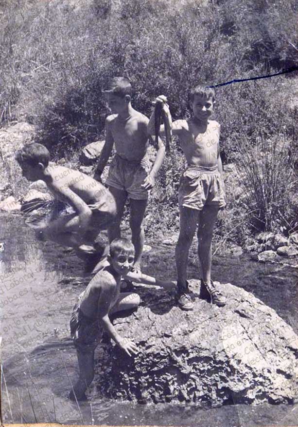 Imagen de la galería
