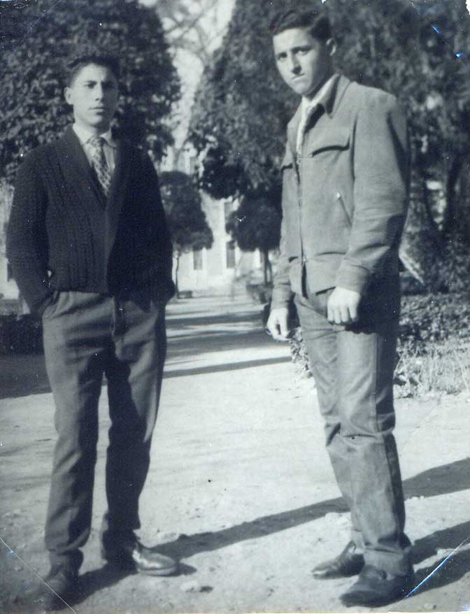 Imagen de la galería