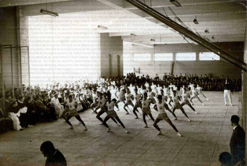 Imagen de la galería
