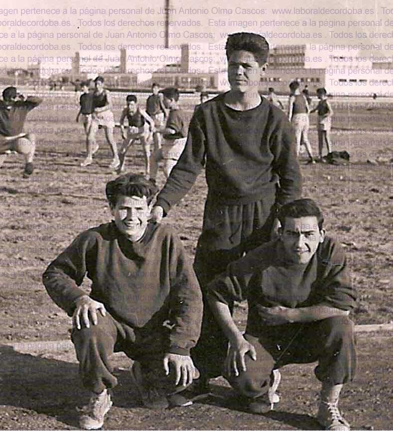 Imagen de la galería