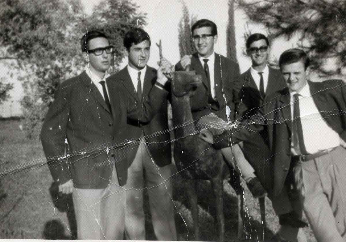 Imagen de la galería