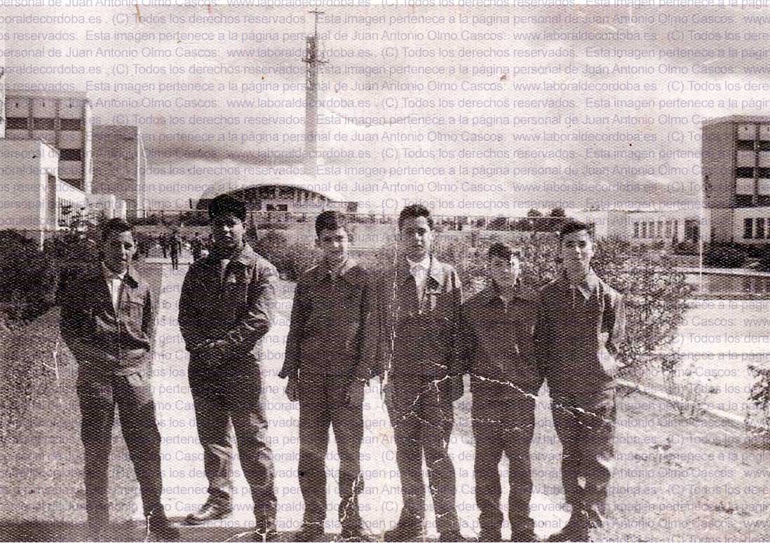 Imagen de la galería
