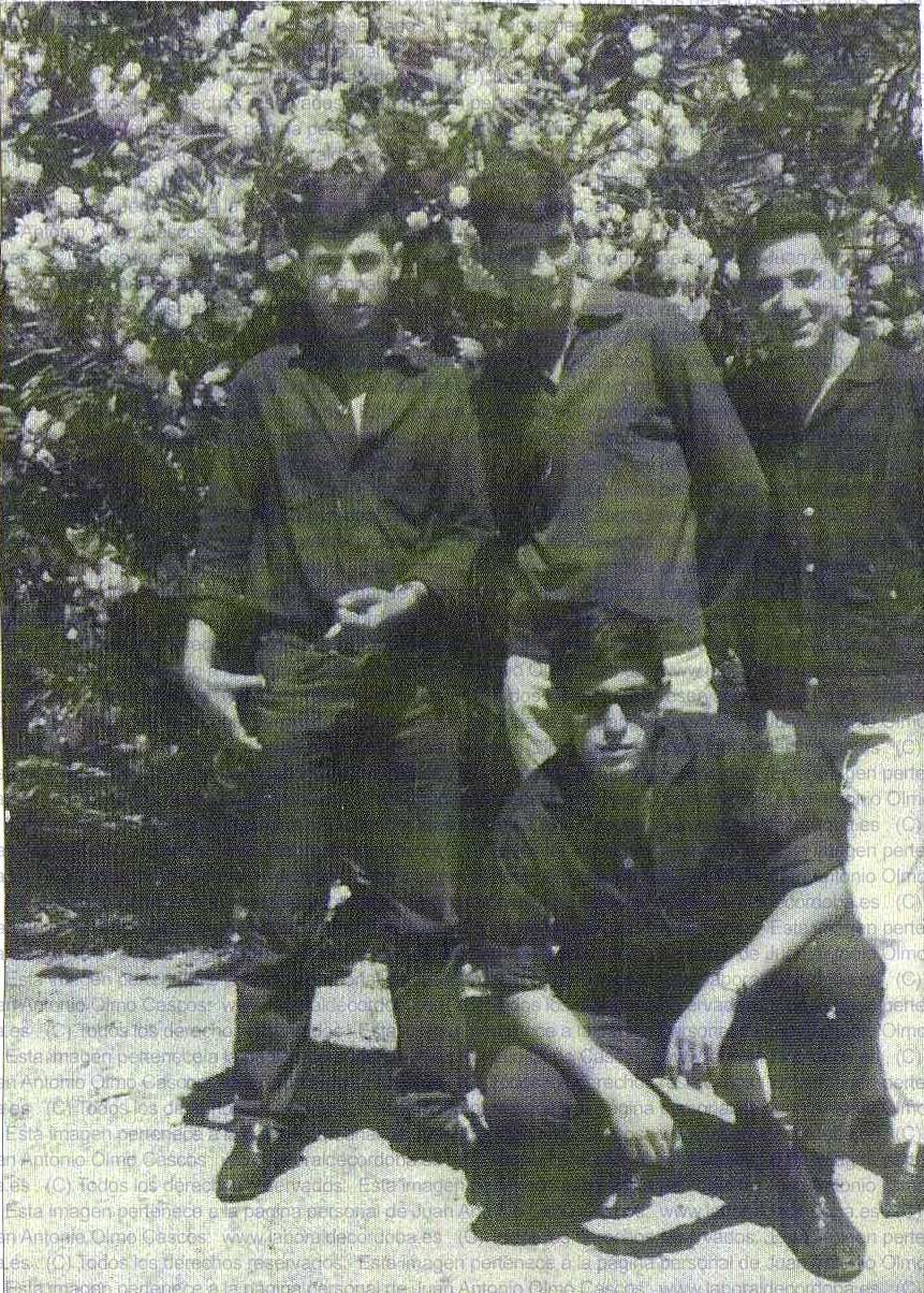 Imagen de la galería