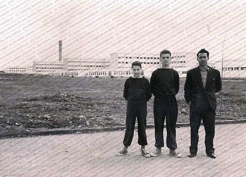 Imagen de la galería