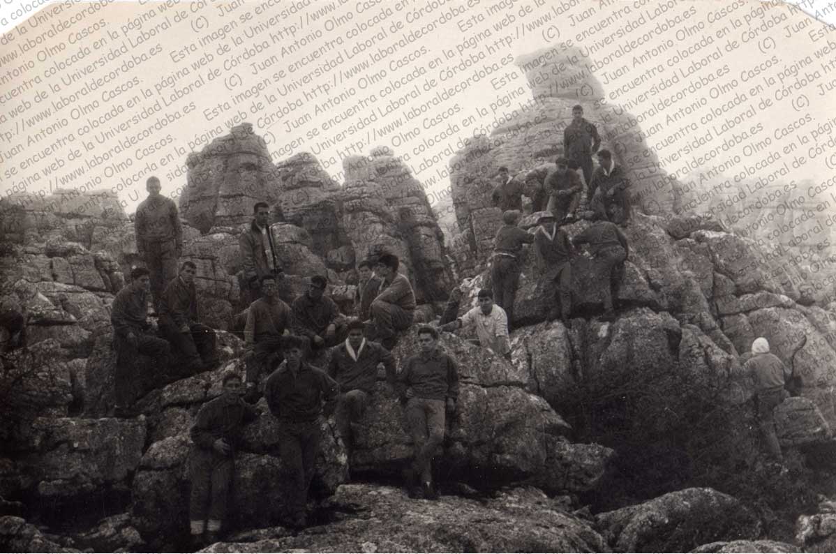 Imagen de la galería