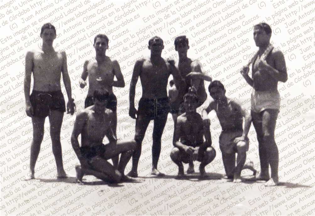 Imagen de la galería