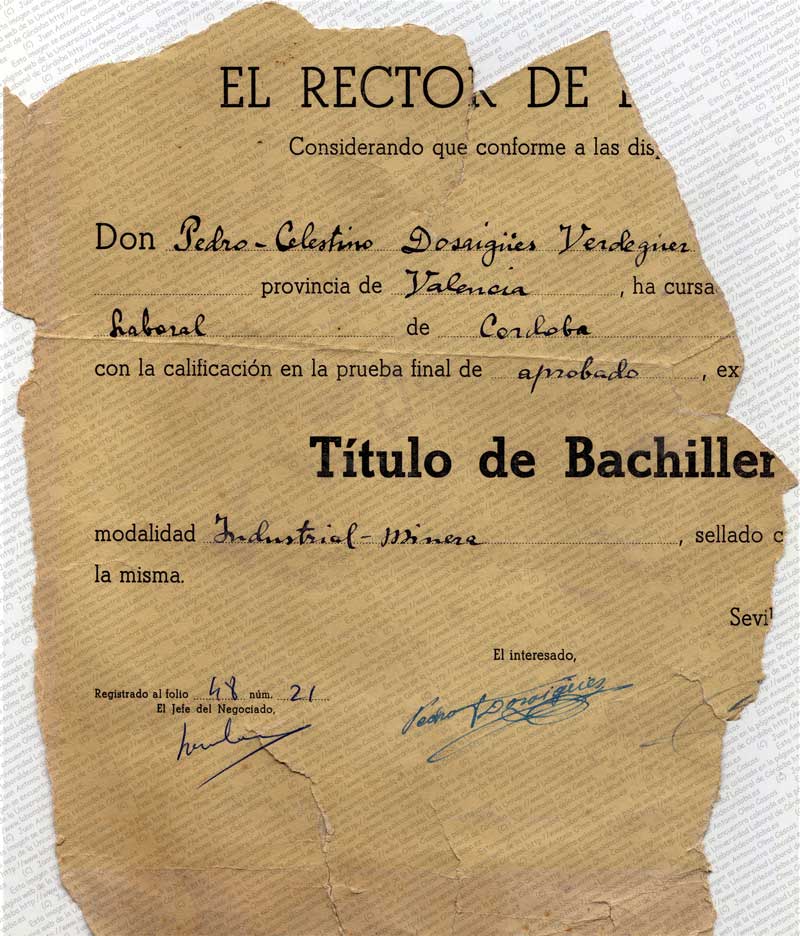 Imagen de la galería