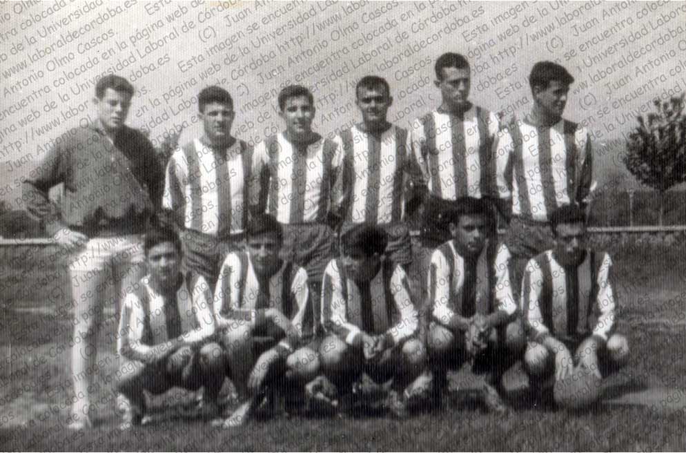 Imagen de la galería