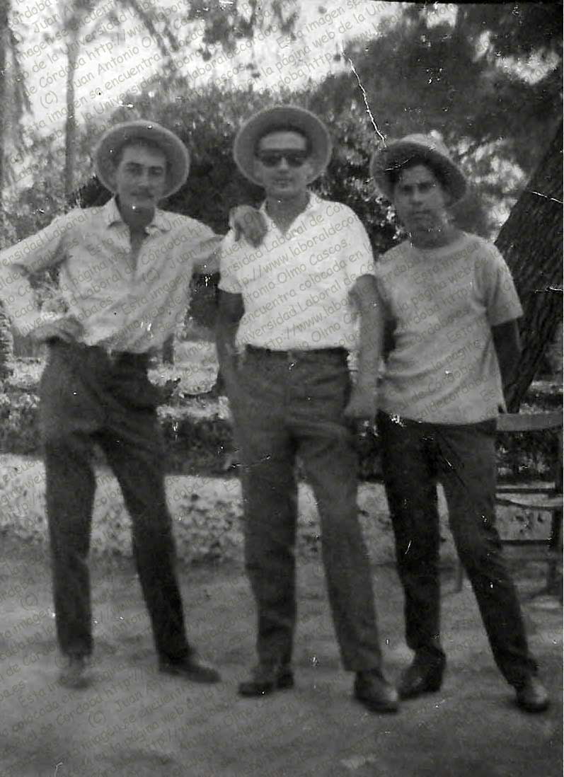 Imagen de la galería