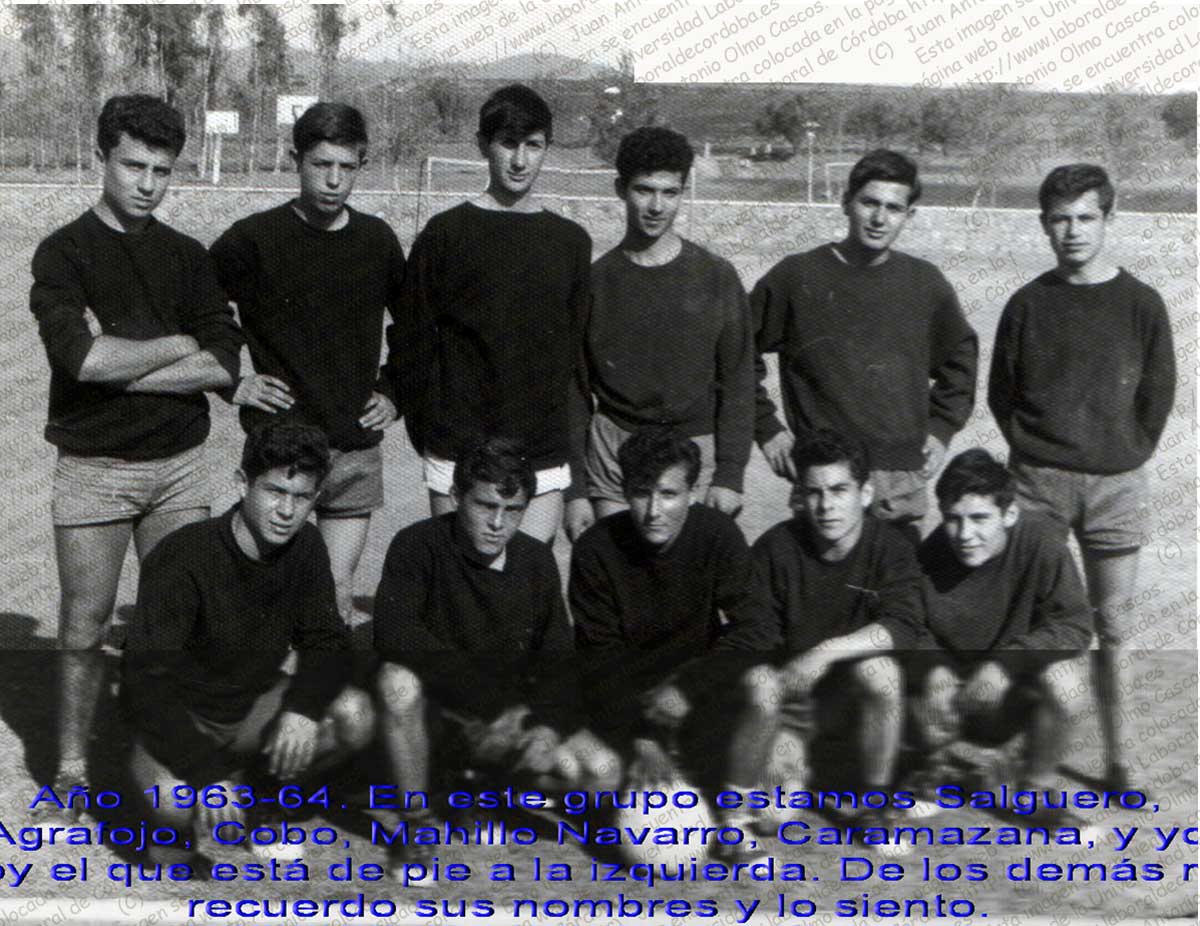 Imagen de la galería