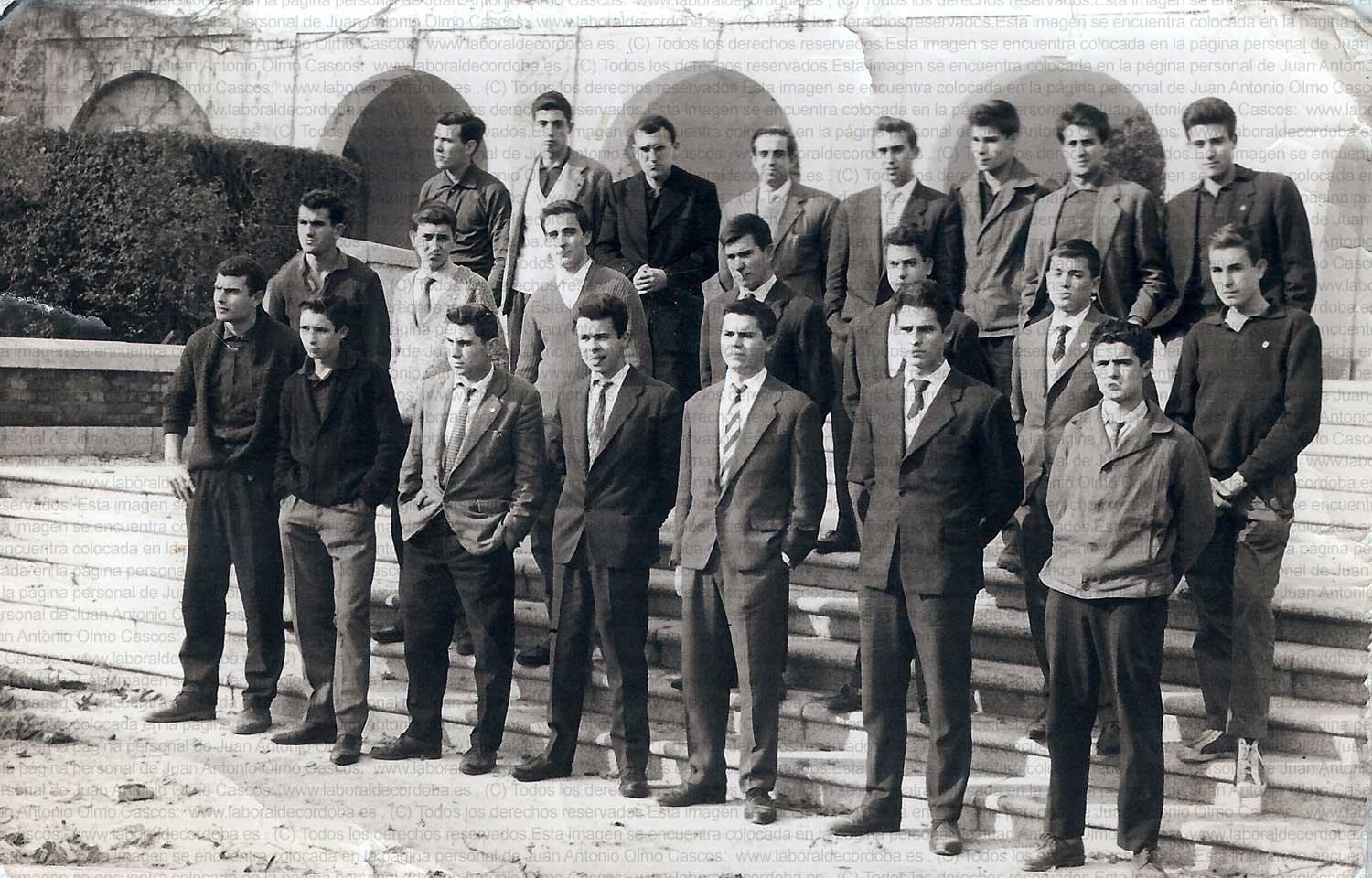 Imagen de la galería