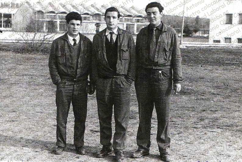 Imagen de la galería