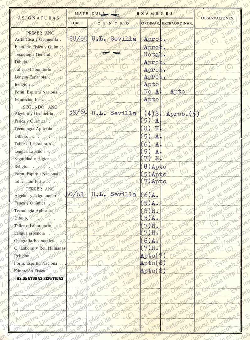 Imagen de la galería