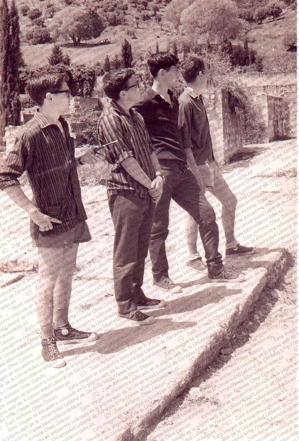 Imagen de la galería
