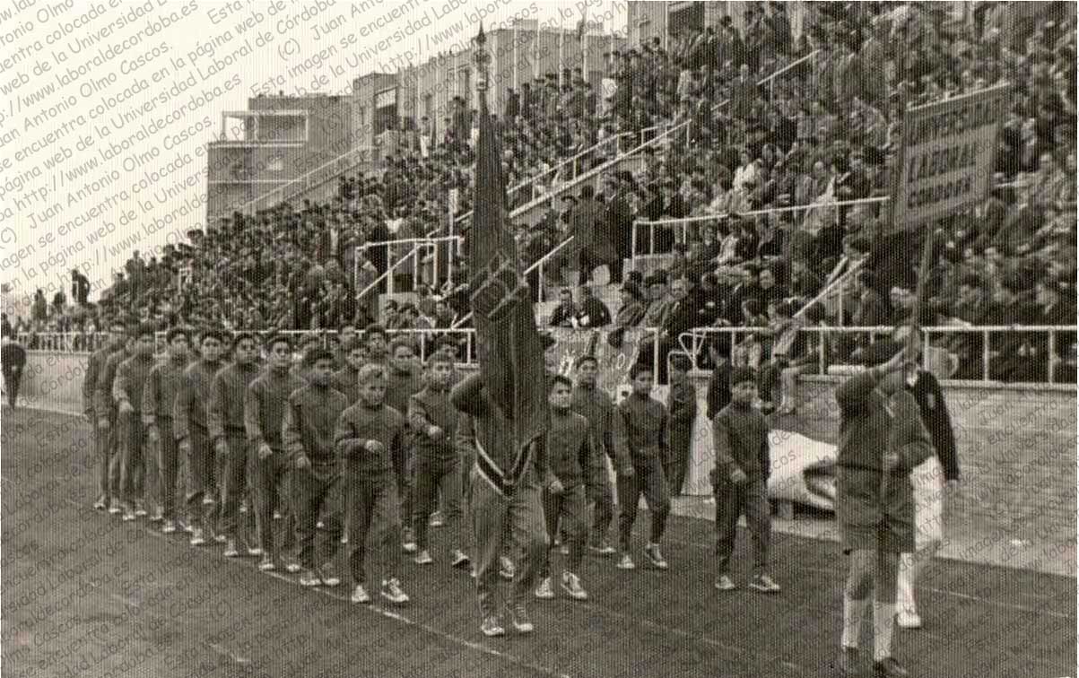 Imagen de la galería