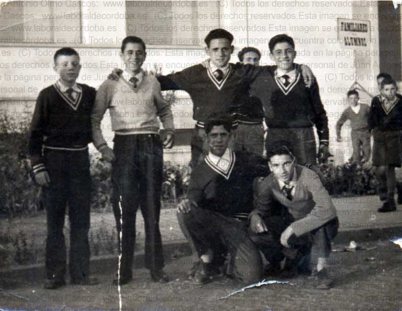 Imagen de la galería