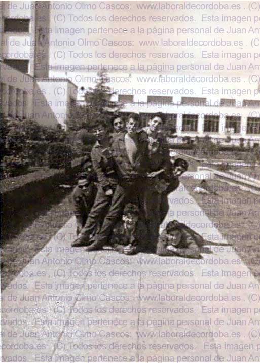 Imagen de la galería