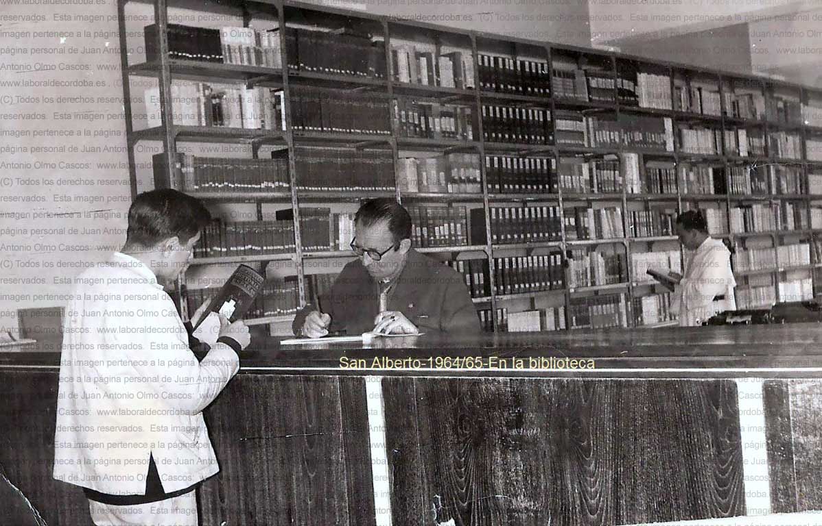 Imagen de la galería