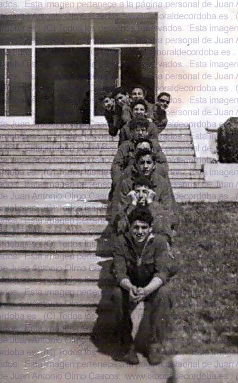 Imagen de la galería