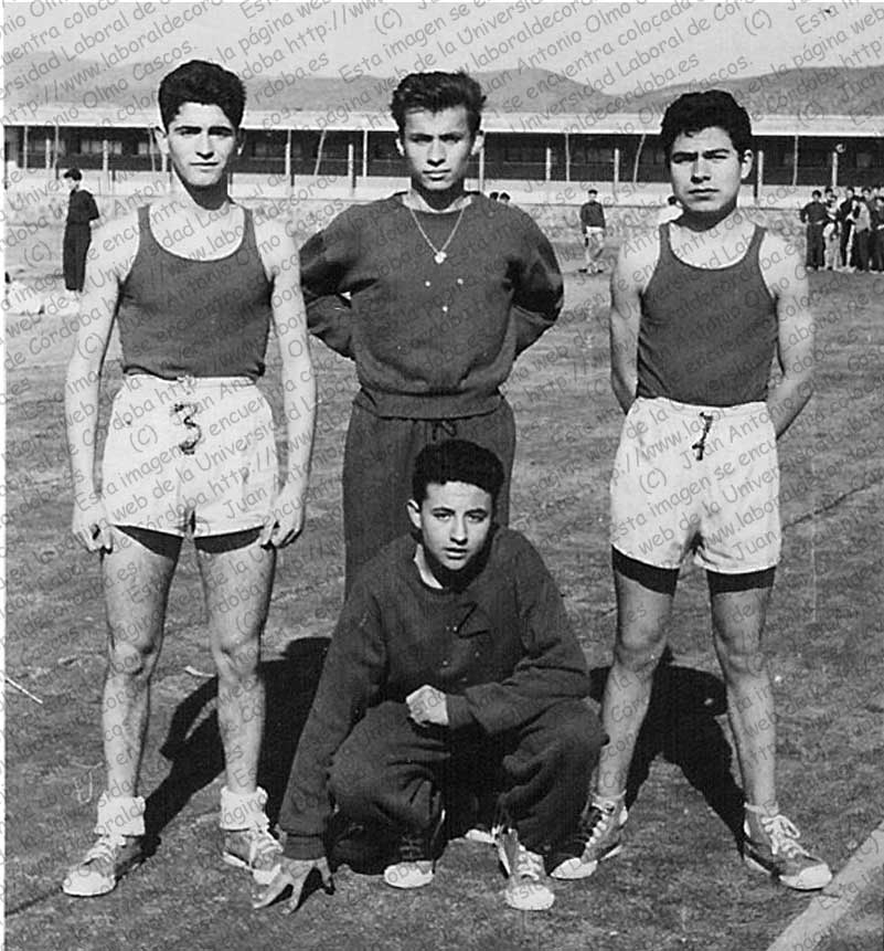 Imagen de la galería