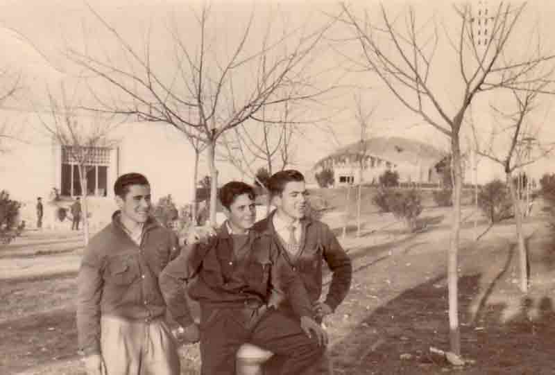 Imagen de la galería