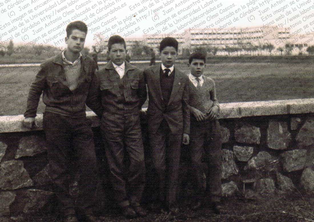 Imagen de la galería
