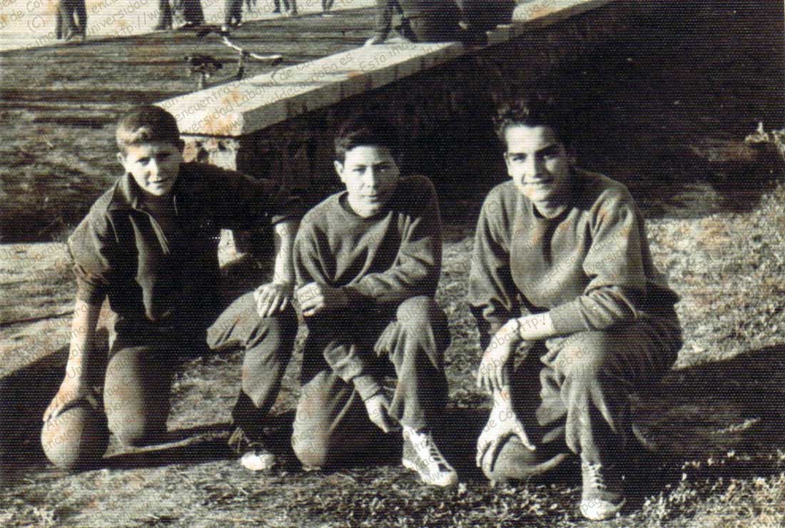 Imagen de la galería