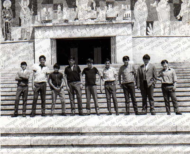 Imagen de la galería
