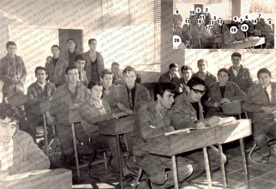 Imagen de la galería
