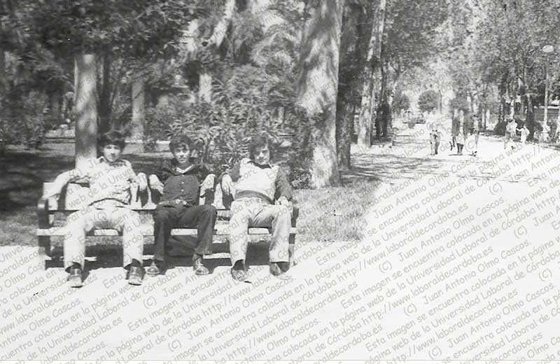 Imagen de la galería