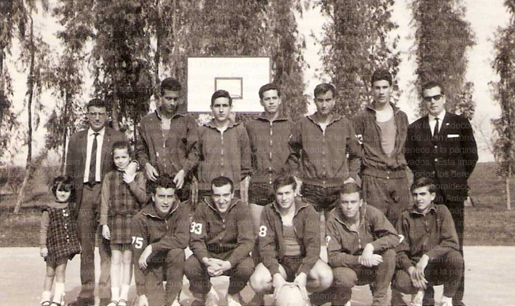 Imagen de la galería