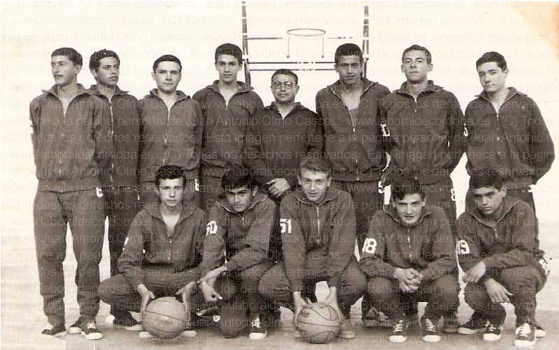 Imagen de la galería