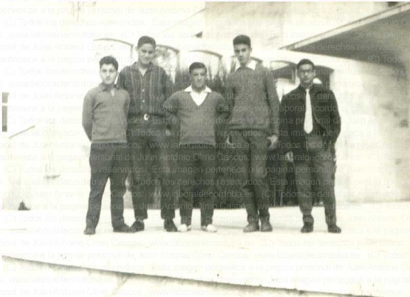 Imagen de la galería