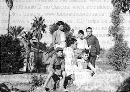 Imagen de la galería