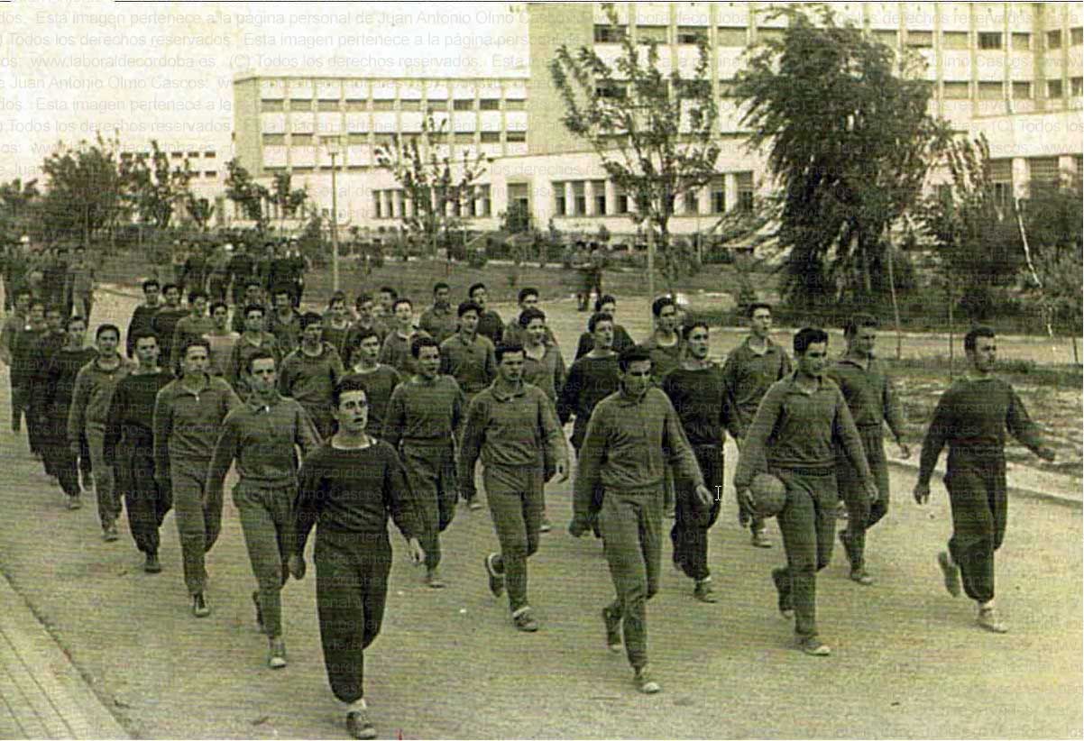 Imagen de la galería