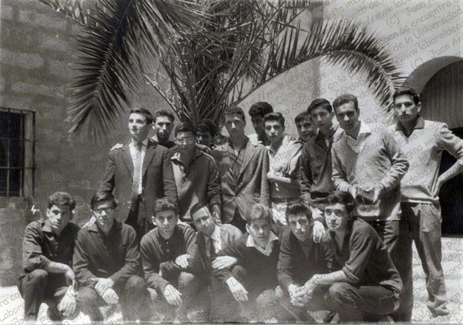 Imagen de la galería